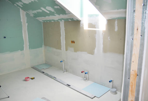 Best Mold Remediation for Healthcare Facilities  in Albany, WI