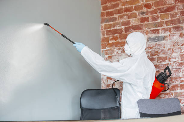 Best Industrial Mold Remediation  in Albany, WI