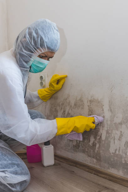 Best Airborne Mold Testing  in Albany, WI