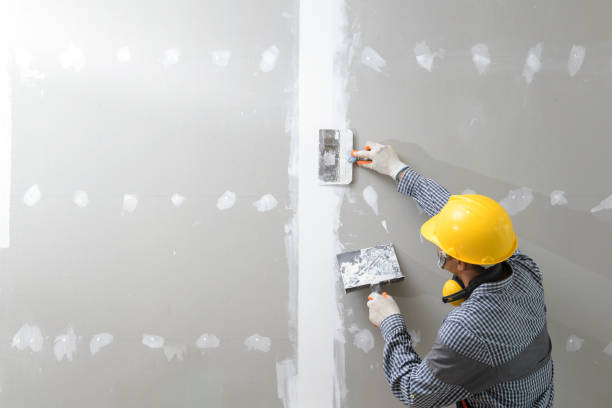 Best Airborne Mold Testing  in Albany, WI