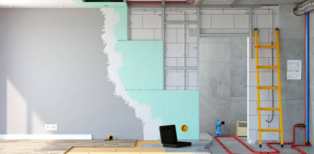 Best Post-Construction Mold Inspection  in Albany, WI