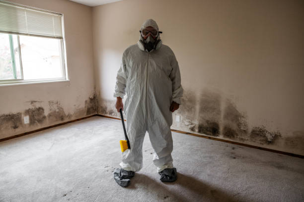 Best Mold Odor Removal Services  in Albany, WI