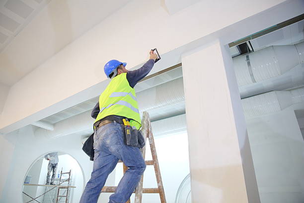 Best Mold Prevention Services  in Albany, WI