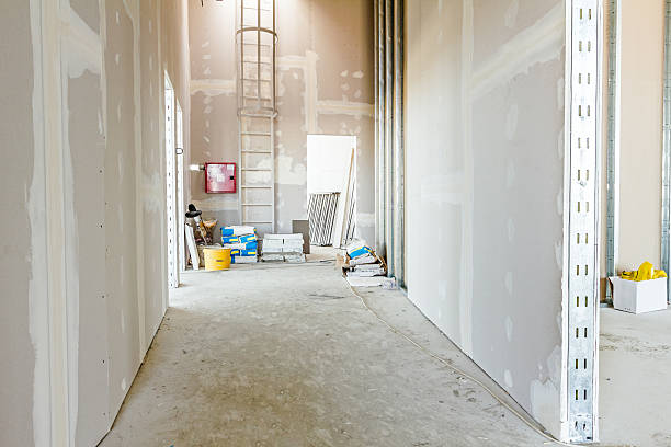  Albany, WI Mold Removal Pros
