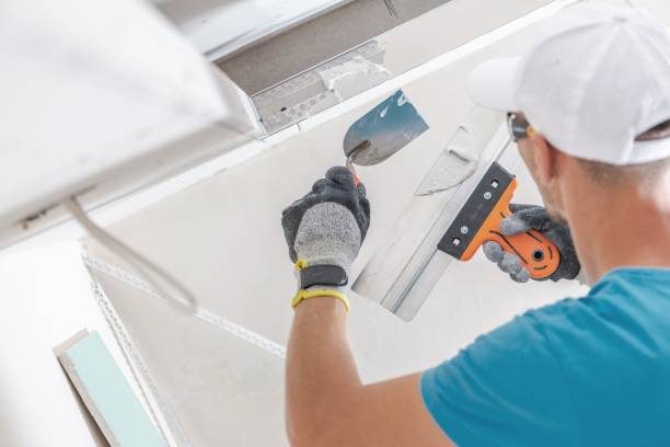 Albany, WI Mold Removal Company